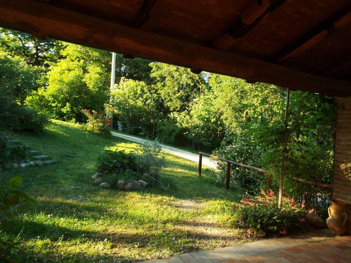 Agriturismo Frallarenza Ficulle Екстериор снимка