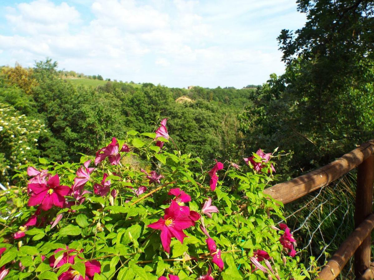 Agriturismo Frallarenza Ficulle Екстериор снимка