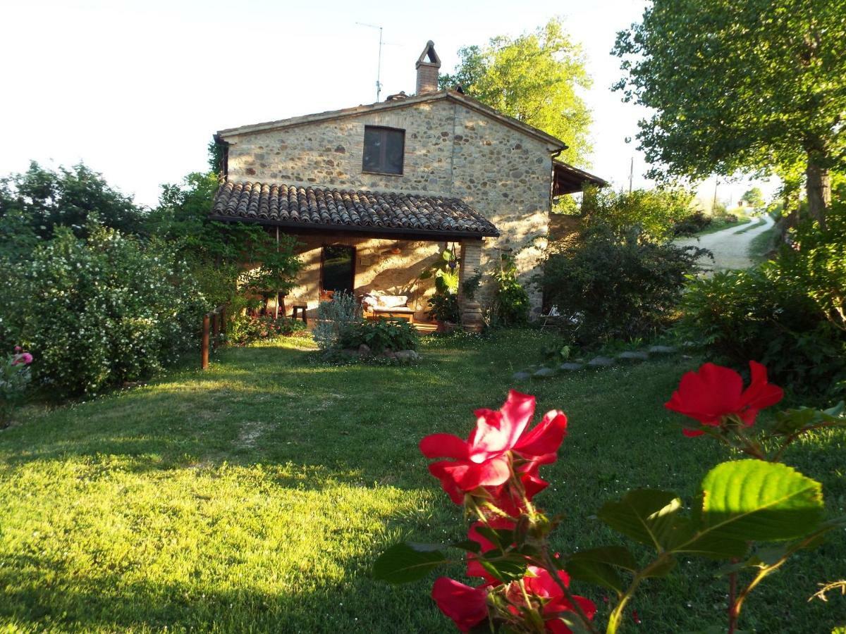 Agriturismo Frallarenza Ficulle Екстериор снимка