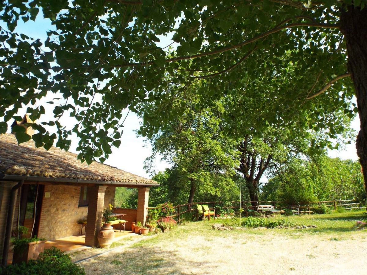 Agriturismo Frallarenza Ficulle Екстериор снимка
