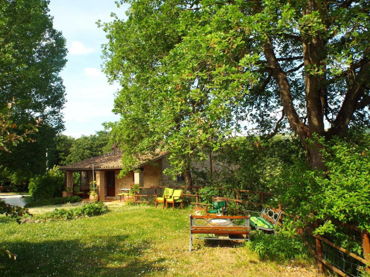 Agriturismo Frallarenza Ficulle Екстериор снимка
