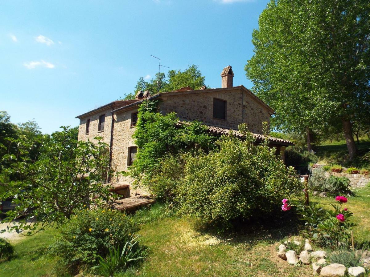 Agriturismo Frallarenza Ficulle Екстериор снимка