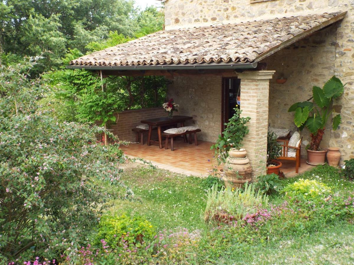 Agriturismo Frallarenza Ficulle Екстериор снимка