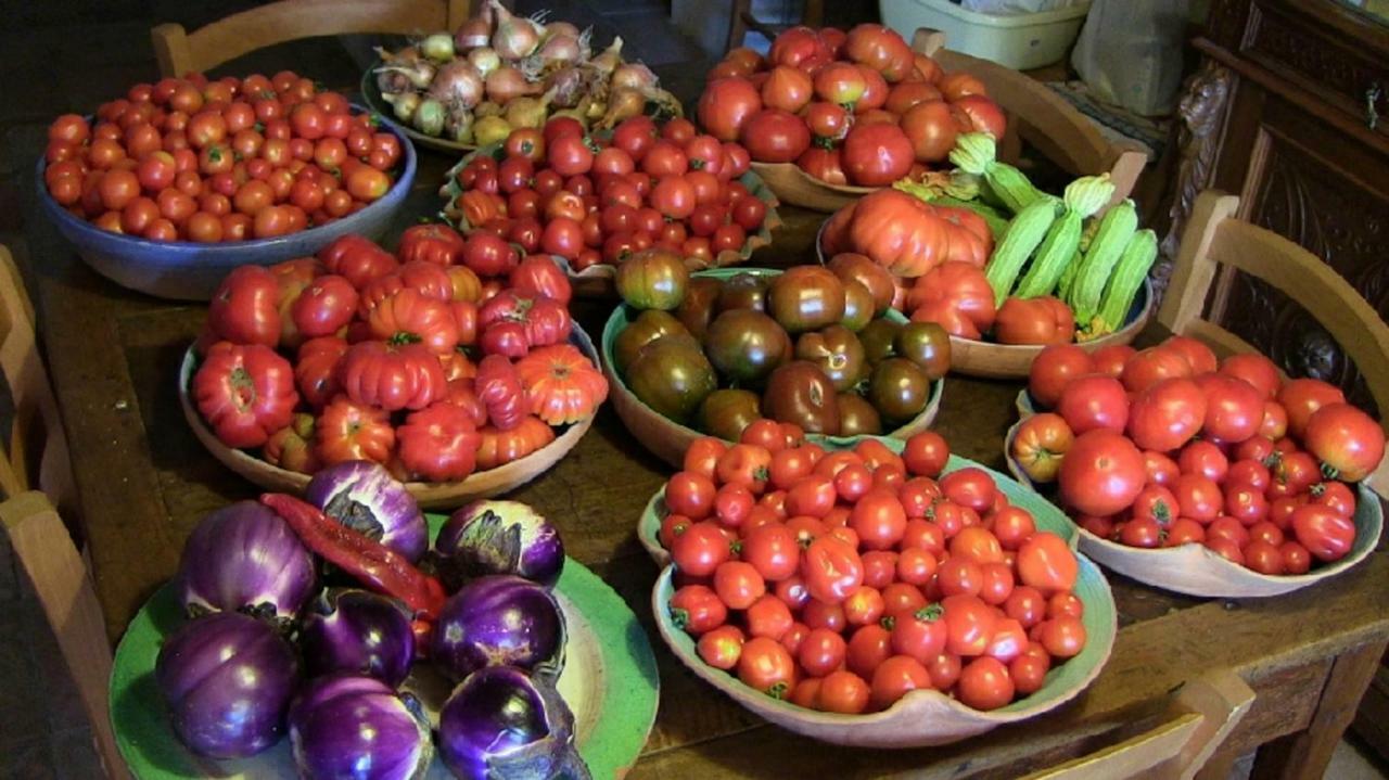 Agriturismo Frallarenza Ficulle Екстериор снимка