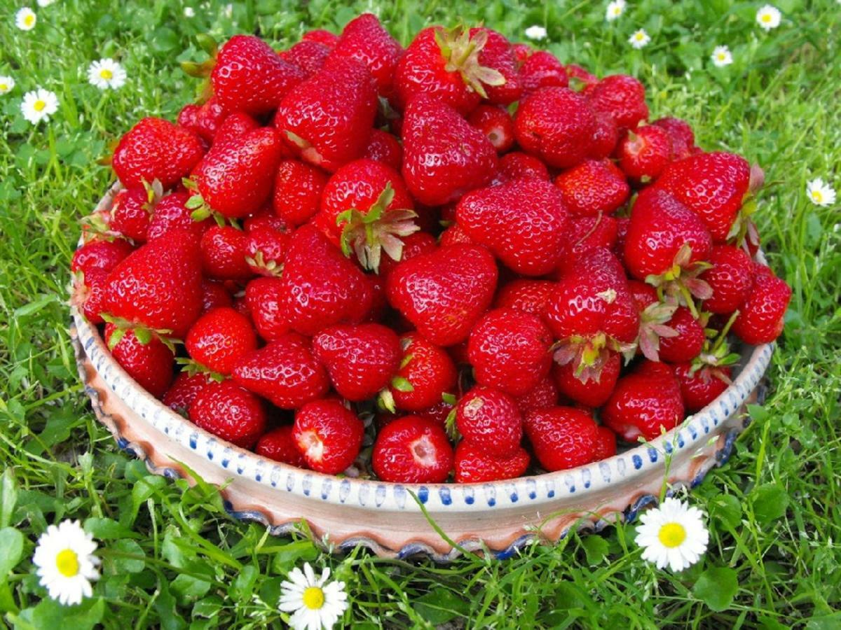Agriturismo Frallarenza Ficulle Екстериор снимка