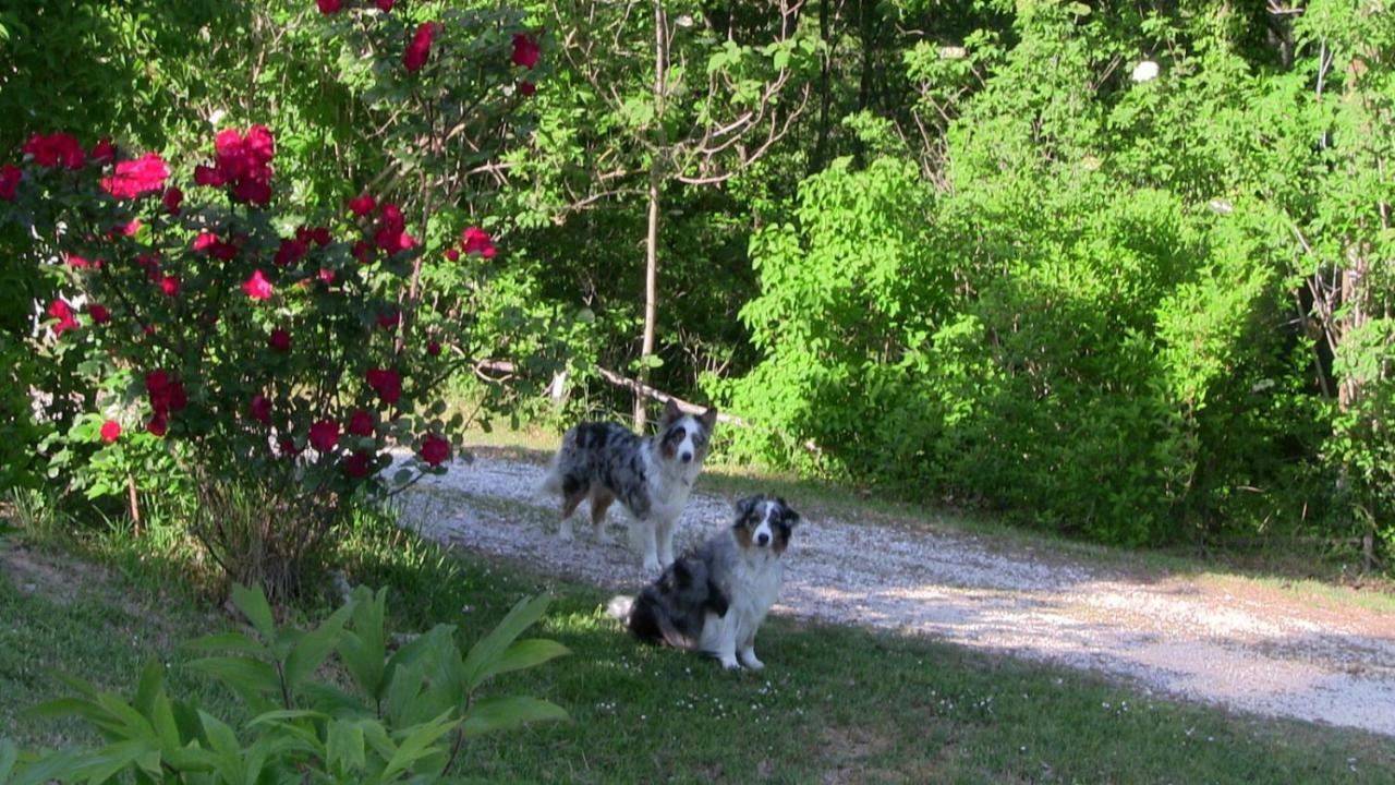Agriturismo Frallarenza Ficulle Екстериор снимка