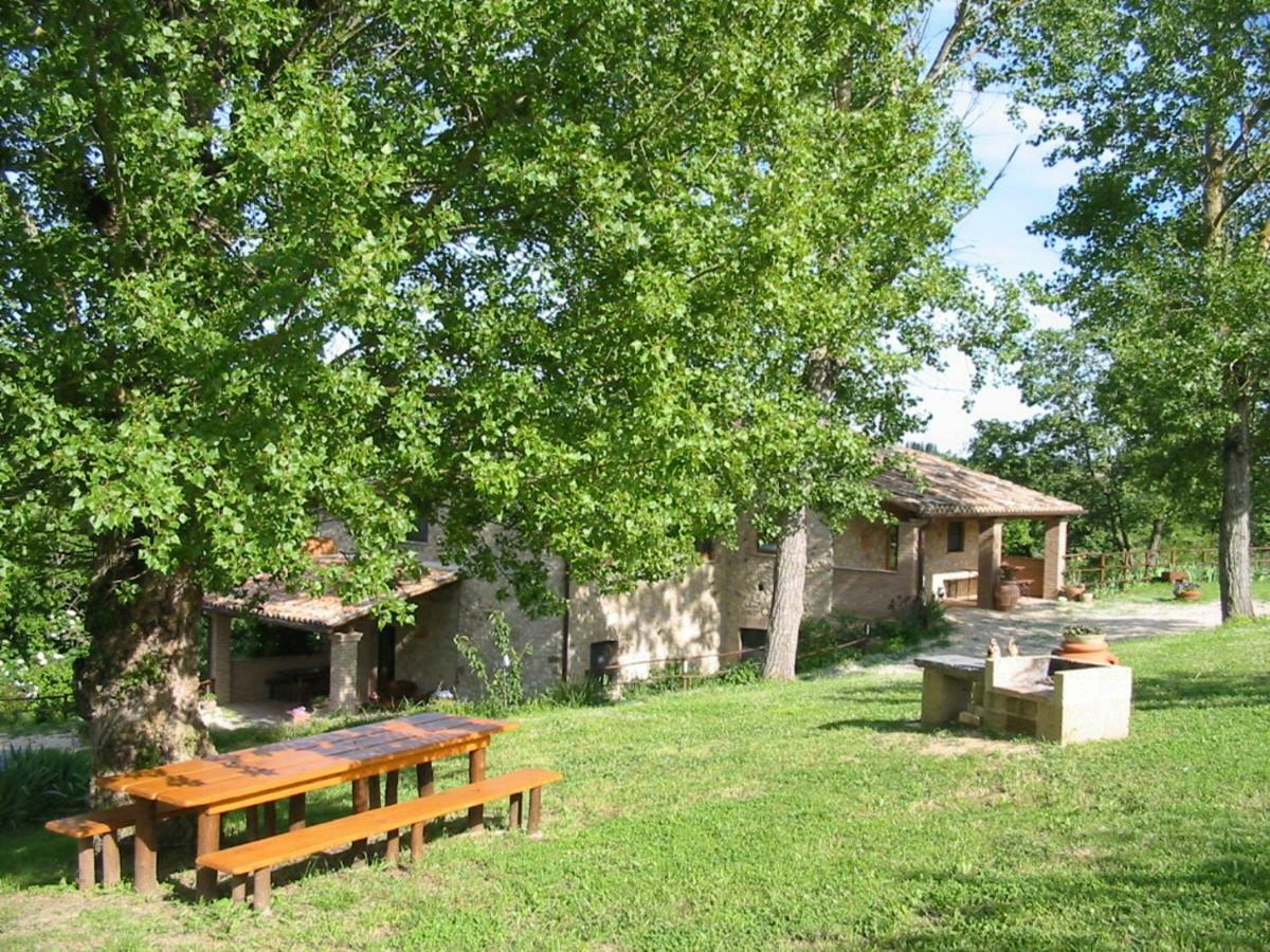 Agriturismo Frallarenza Ficulle Екстериор снимка