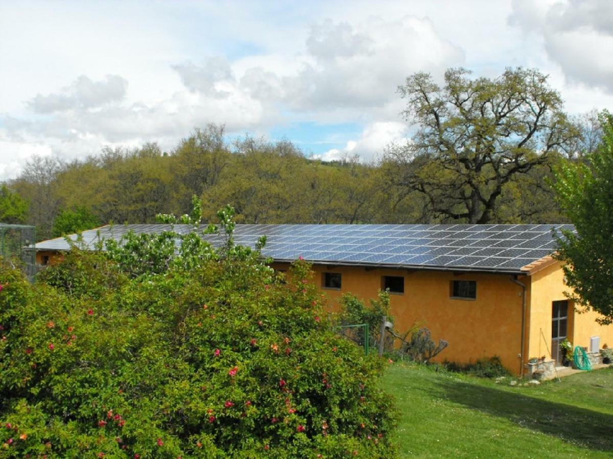 Agriturismo Frallarenza Ficulle Екстериор снимка