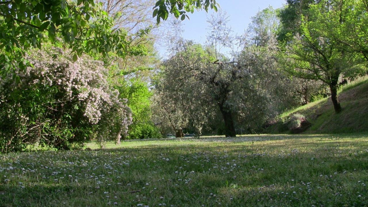 Agriturismo Frallarenza Ficulle Екстериор снимка