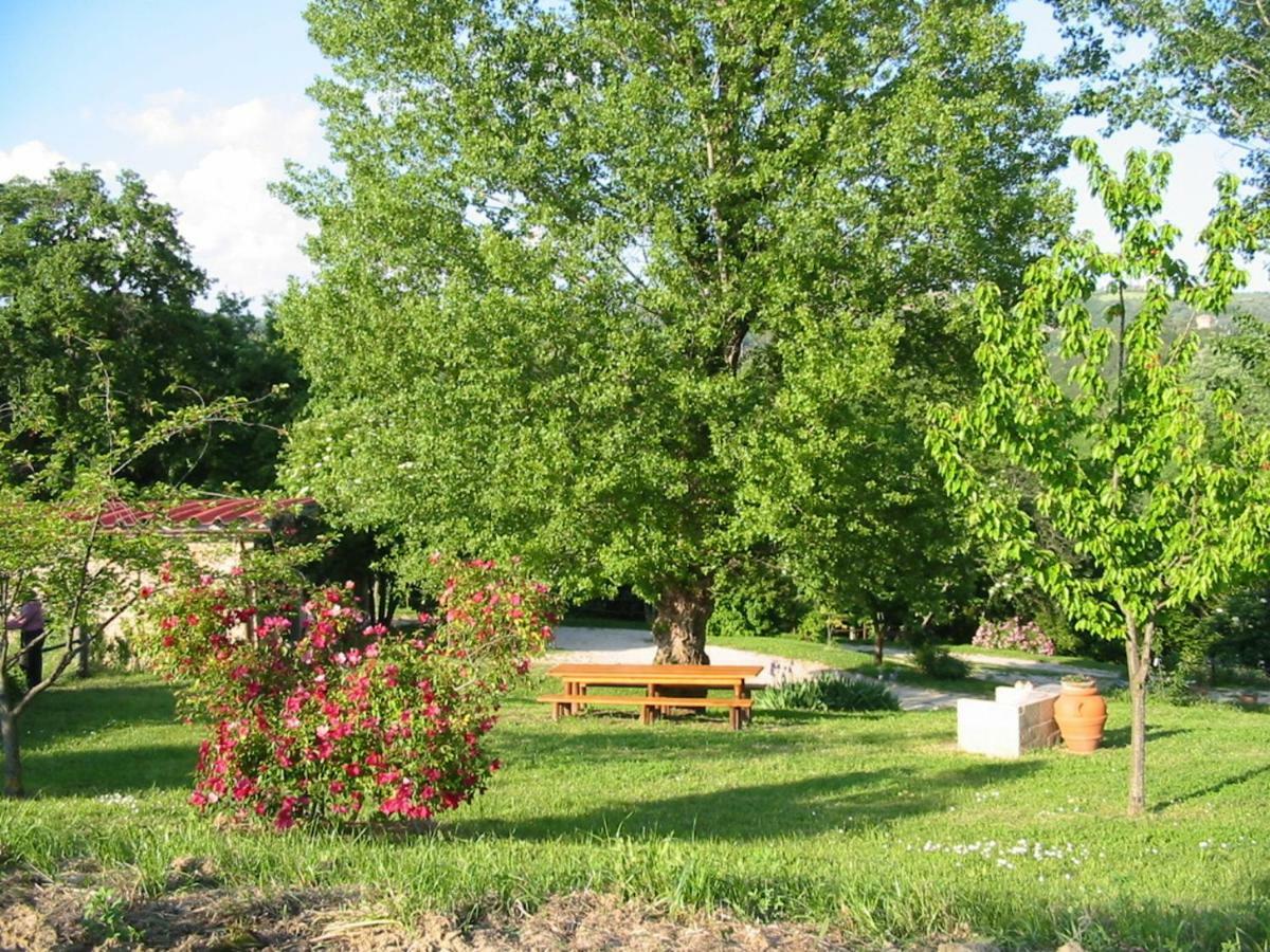 Agriturismo Frallarenza Ficulle Екстериор снимка