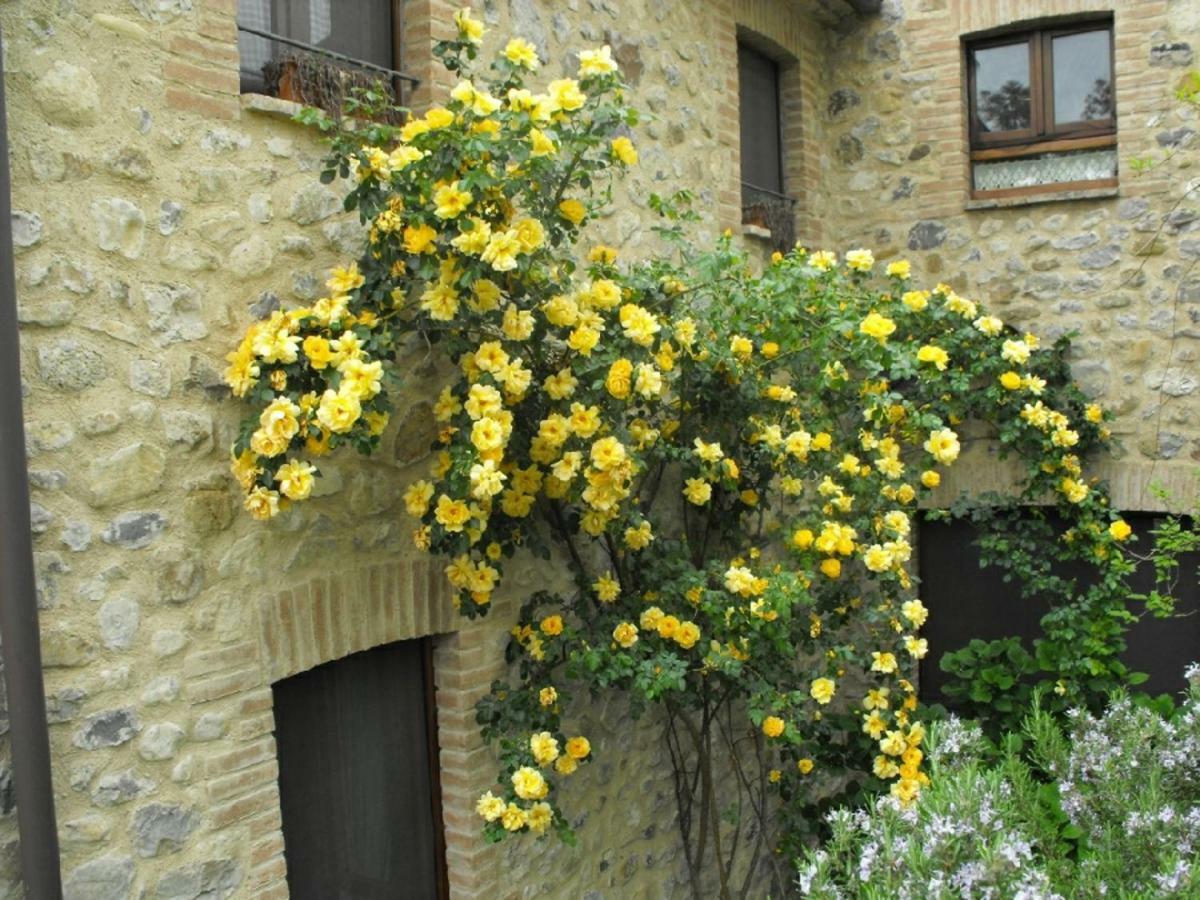 Agriturismo Frallarenza Ficulle Екстериор снимка